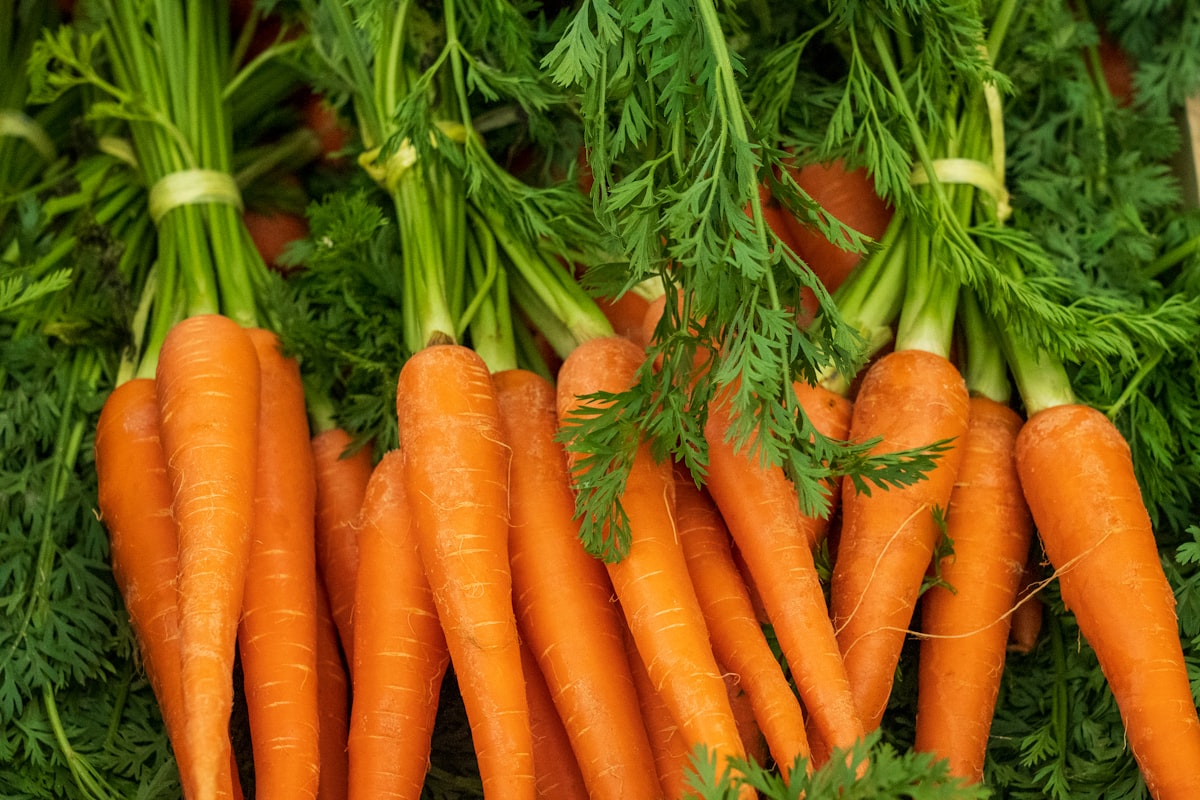 Alimenti ricchi di nutrienti per la salute degli occhi